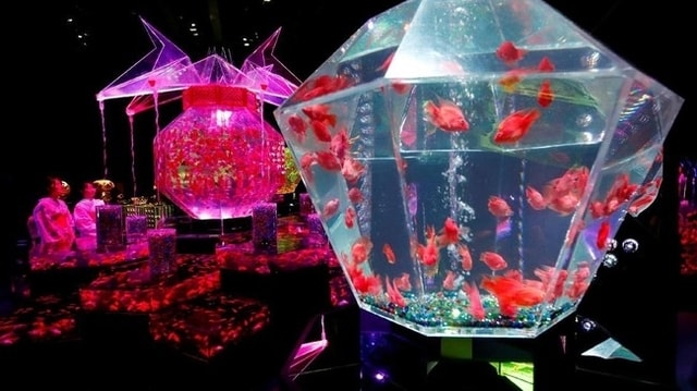 Instalasi Unik di Pameran Art Aquarium Museum 2020 Karya Seniman Jepang!
